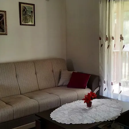 Casa de Férias Holiday House Slatina *