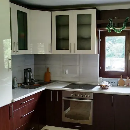 Casa de Férias Holiday House Slatina *